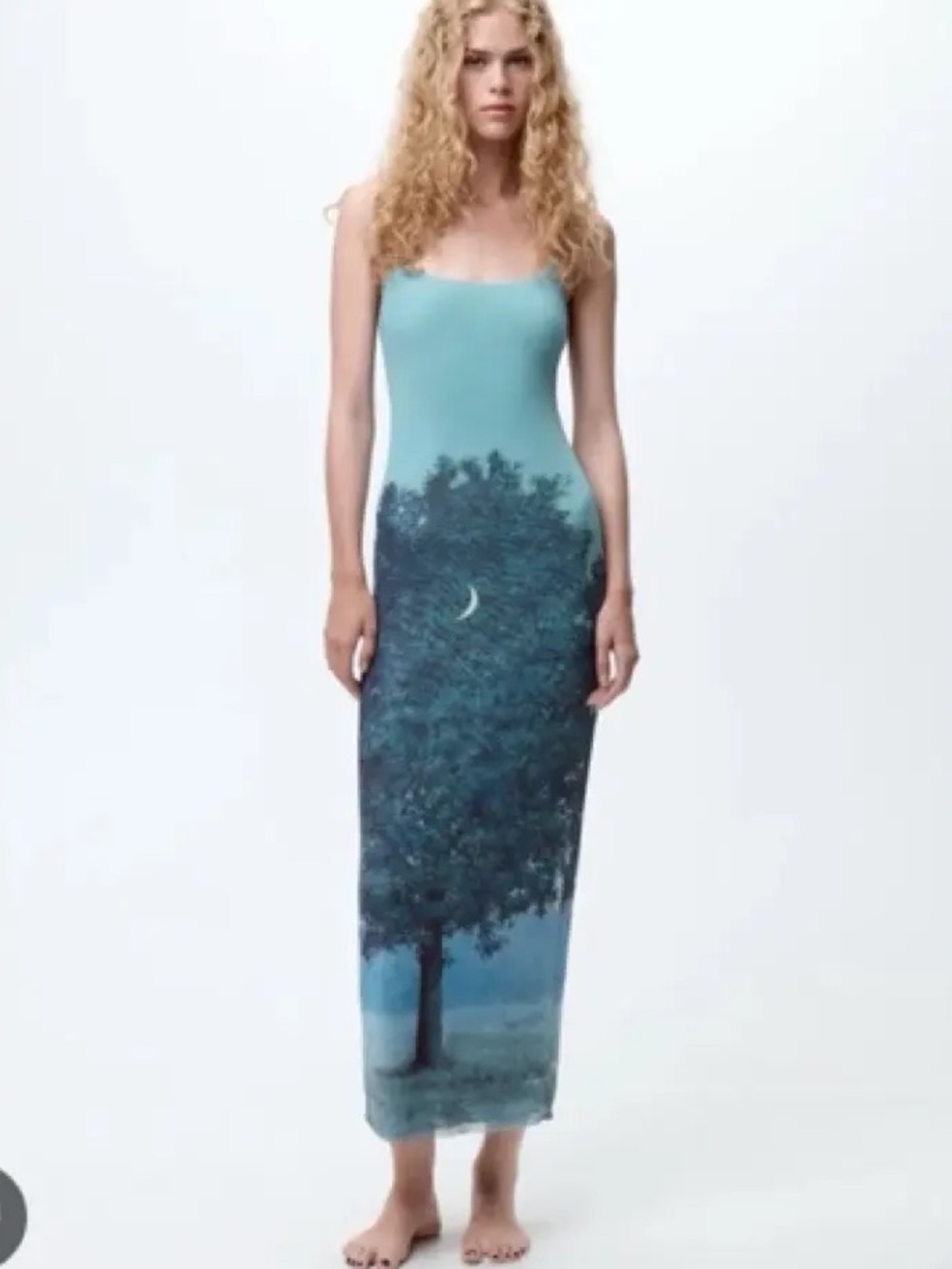 Zara RENÉ MAGRITTE PRINT TULLE DRESS